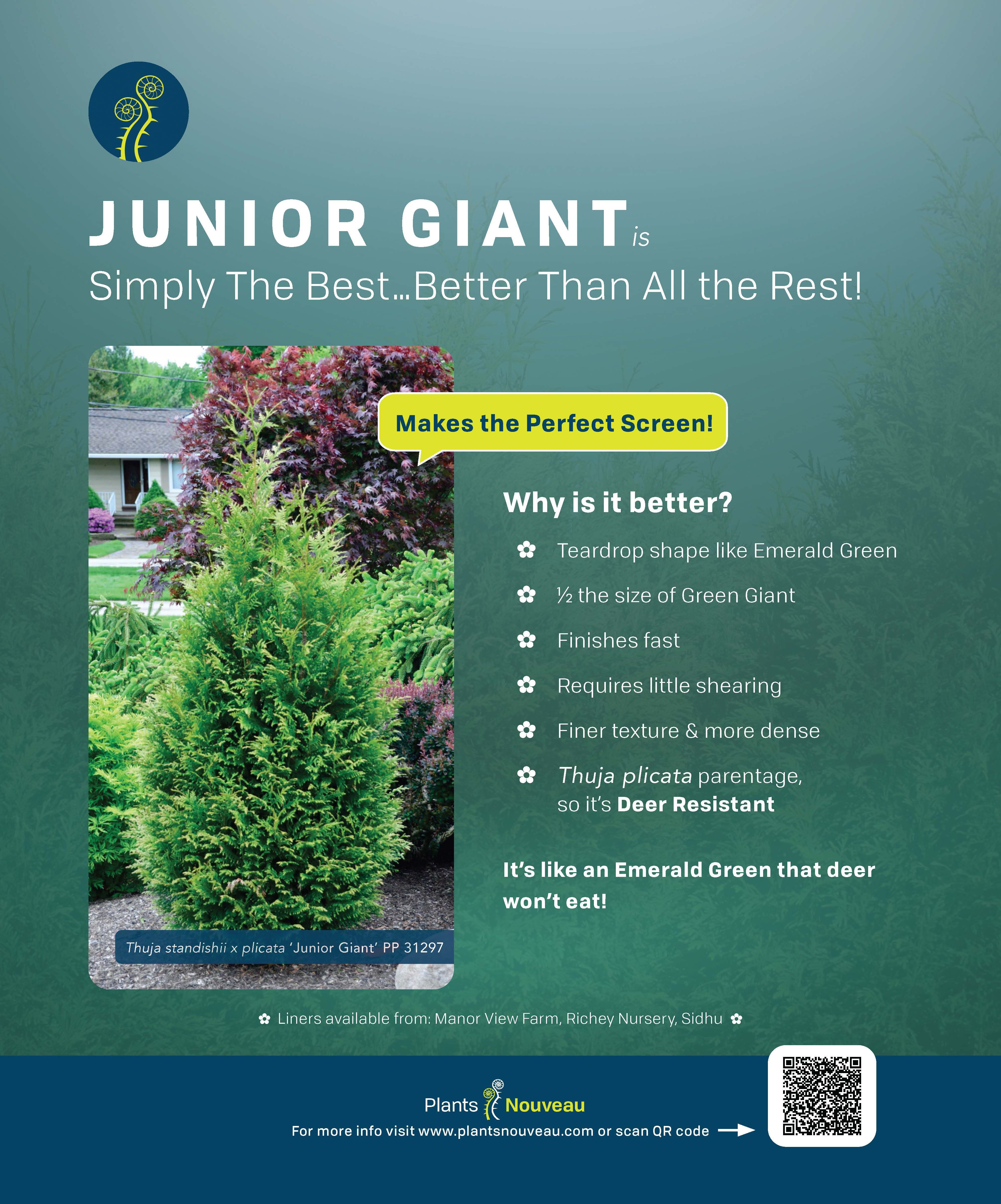 Junior Giant ad from GReen Profit