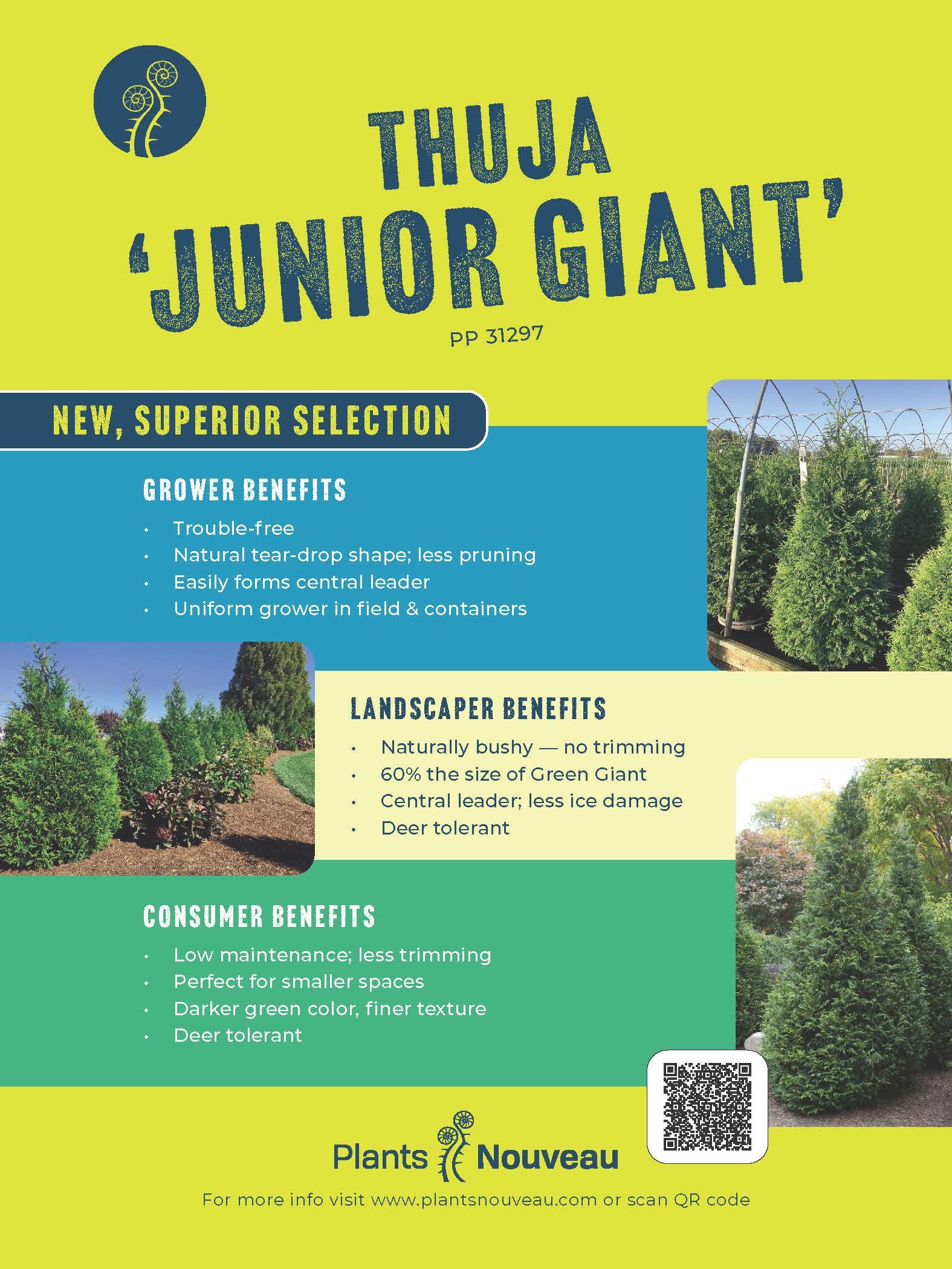 Junior Giant Ad from Nursery Management November